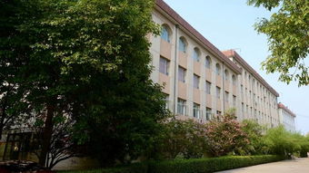 河北工业大学廊坊分校是几本