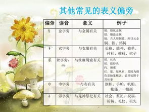 踏的部首是什么