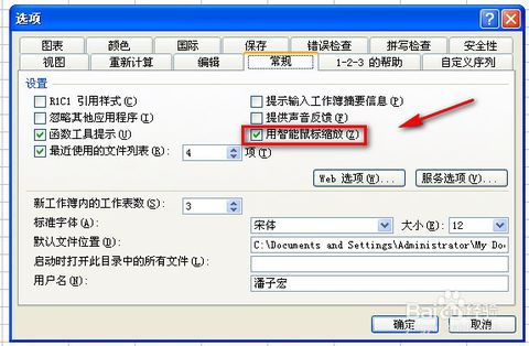 EXCEL滚动鼠标滚轮变成放大缩小怎么办
