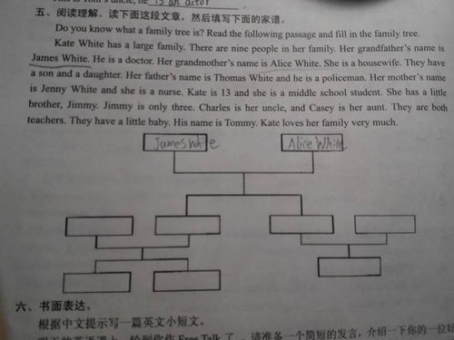家谱 用英语怎么说