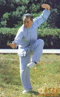 武术九段是什么意思?