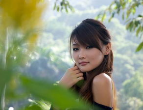 小鸟依人是什么意思 小鸟依人释义