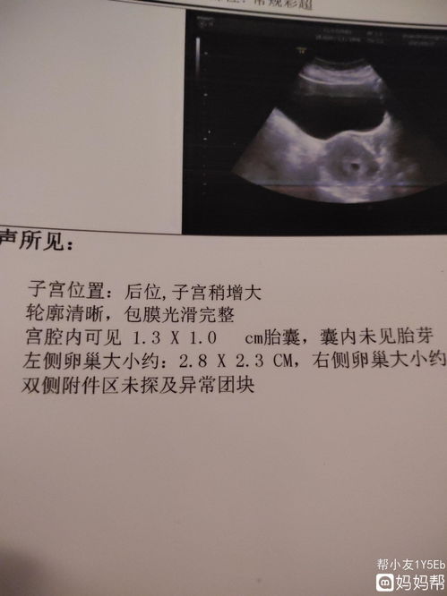 胎芽是什么