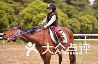 争议!日本马术场摆“阴间”障碍物,马被吓住不敢跳,选手抱怨