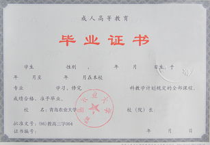 专科和本科的区别是什么?