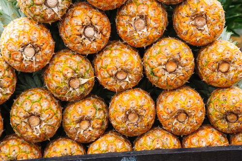 柿子像什么比喻句