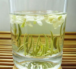 茉莉花茶产地有哪些?