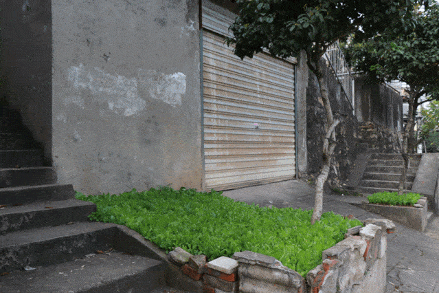 房前屋后多少米为合法