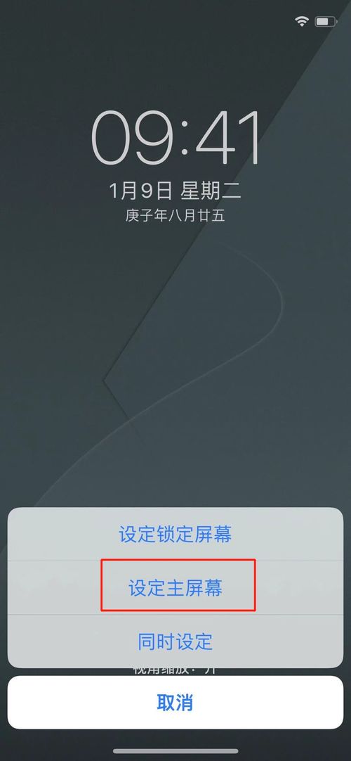 手机怎么设置屏幕壁纸?