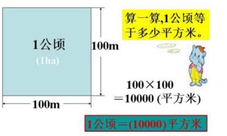 1公顷是多少亩地