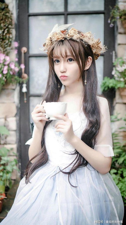 森系是什么意思?