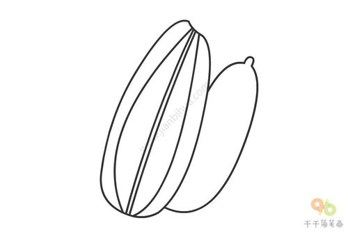 简笔画瓜子怎么画?