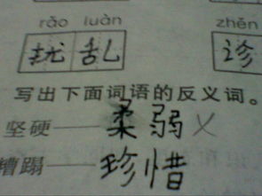 坚实的反义词，坚实的反义词是什么词