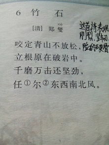 任尔东西南北风的上一句是什么