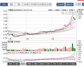 中石化石油工程公司领导班孑成员情况