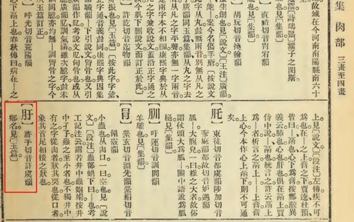 口加于念什么