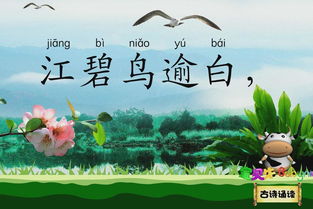 江碧鸟逾白(的整首诗是什么?)