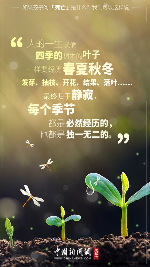 顾左右而言其他是什么意思