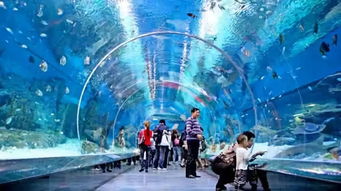 正佳极地海洋世界怎么样,好不好的默认点评