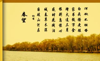 春望意思，春望意思翻译