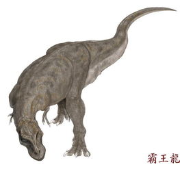 恐龙的名字有哪些?