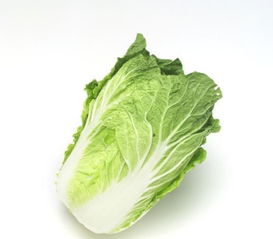 白菜如何做好吃?