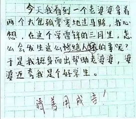 学习雷锋日记征文500字