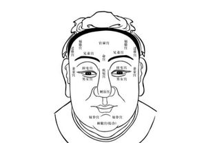 算命看相的准吗?