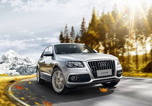 2013款奥迪Q5到店 动力配置升级