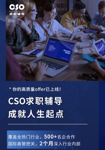 请问cso是什么职位