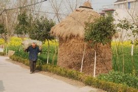 草行露宿什么意思