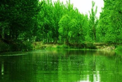 碧绿的碧可以组什么词