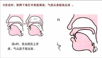 什么是平舌音什么是翘舌音?