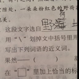 知道的近义词?