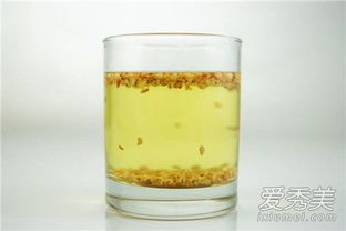 苦荞茶的功效有哪些?经常喝苦荞茶是否有助于降血压呢?