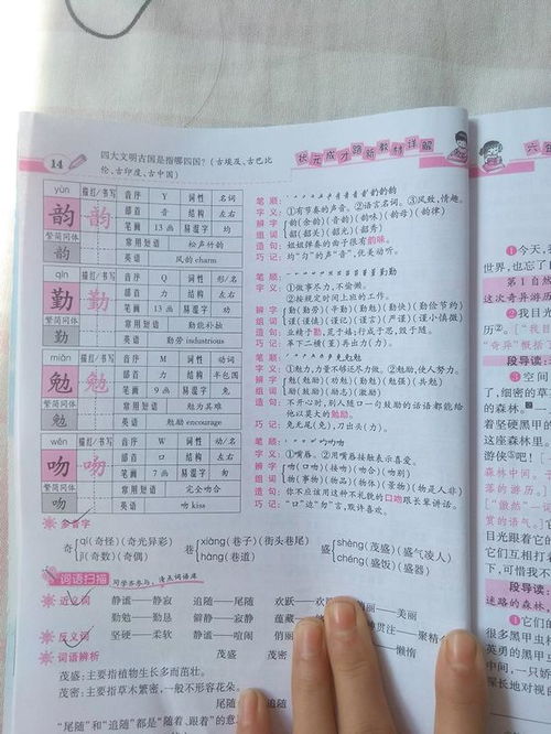 韵组词有哪些,
