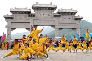 嵩山少林武术学校怎么样?