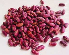 芸豆的功效与作用,益肾补元、抑制肿瘤