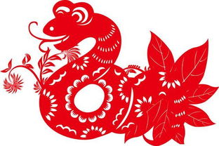 蛇年是哪几年?多少岁?