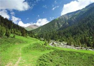 青海海拔多少米高