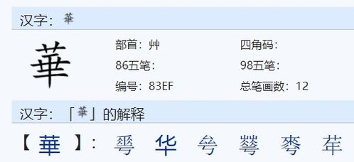 华姓氏读音是什么?
