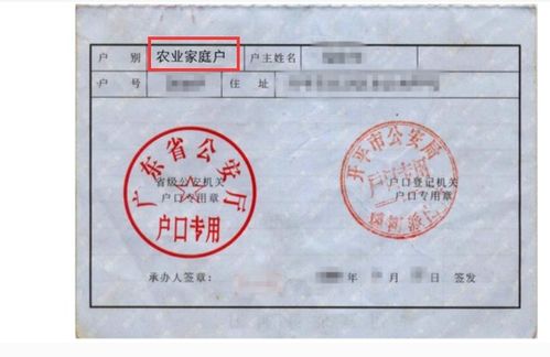 家庭户口属于什么户口