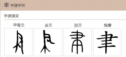 聿字怎么读?