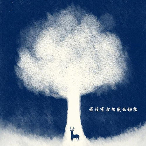 哪种动物最没有方向感,脑筋急转弯