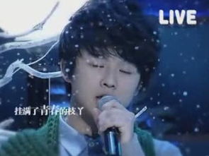 李双江的《雪花》 歌词