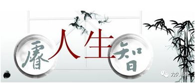 什么是成功