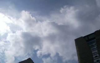 暑伏是什么时候