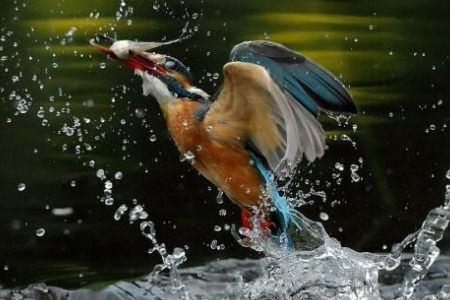 一瞬间的近义词是什么?