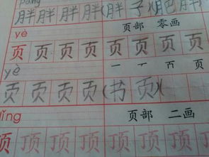 页的组词有哪些