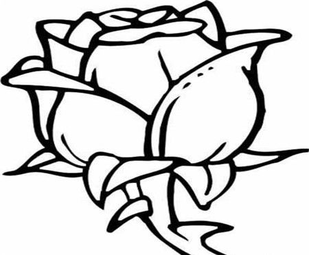 花儿怎么画